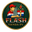Flash Tienda Py logo